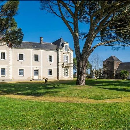 Vignoble Chateau Piegue - Winery Rochefort-sur-Loire Exteriör bild
