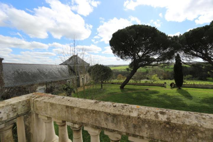 Vignoble Chateau Piegue - Winery Rochefort-sur-Loire Exteriör bild